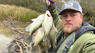 I'll Be DAM 🦫 Creek CRAPPIE Fishing With Jig & Bobber!‼️CRAPPIE Fishing 2024‼️