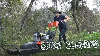 Brush Clearing with the DR Field and Brush Mower!