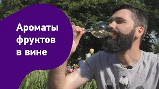 Какие фруктовые ароматы встречаются в вине?