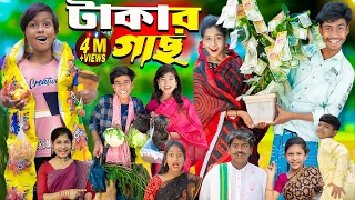 টাকার গাছ ||Takar Gach || No 1 Gramin TV Latest Bangla Funny  natok 2024 indian |