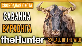 theHunter Call of the Wild #8 🦁 - Саванна Вурхонга (часть 2) - Свободная Охота