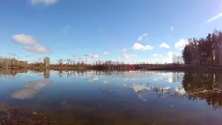 Красивое озеро в лесу. Облака отражаются в воде. Новосибирская область.Композиция "For Mimi"