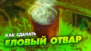 КАК СДЕЛАТЬ ЧАЙ ИЗ ХВОИ | ЕЛОВЫЙ ОТВАР | ВЫЖИВАНИЕ