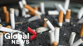 New study says ex-smokers' lungs can heal