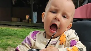 Cuties babies videos Funny stories selection of best moments