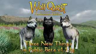 Three New Things in Public Beta 1.1.1g
