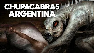 ¿El chupacabras apareció en Salta, Argentina? Ovejas aparecieron muertas