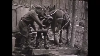 If Time Stood Still...A Look Around Arkona in 1941