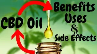 7 Benefits I Uses I And I Side Effects of CBD Oil