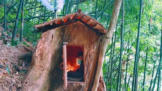Build a mysterious house in a giant tree, with a warm fireplace / Núi rừng vùng cao