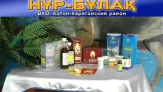 ПРЕЗЕНТАЦИЯ НУР БУЛАК 2012