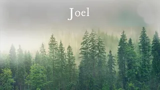 The Book of Joel - New King James Version (NKJV) - Audio Bible