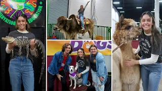 PET EXPO 2023 VLOG || Exotic Animals, Petting Zoo, Dog, Cat, Reptile, Rabbit & Pig Show, Cattle Ride