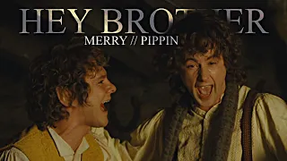 HEY BROTHER || Merry & Pippin