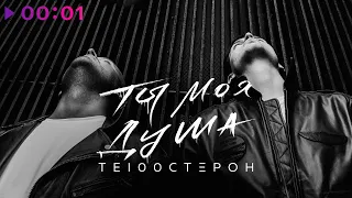 Те100стерон - Ты моя душа | Official Audio | 2021