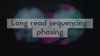 Long read sequencing: phasing