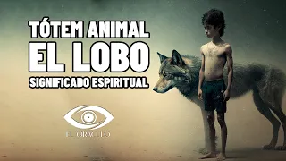 El lobo: un compañero espiritual poderoso que puede enseñarte mucho