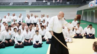 12th International Aikido Federation Congress - Class Highlights: Ulf Evenas
