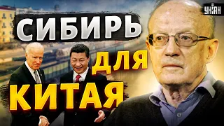 Сделка по Украине: США предложили Китаю оттяпать Сибирь - Пионтковский