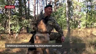 Українсько-білоруський кордон взяли під посилену охорону