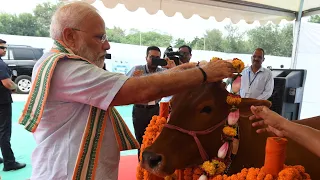 PM Modi worships cows, visits related exhibition