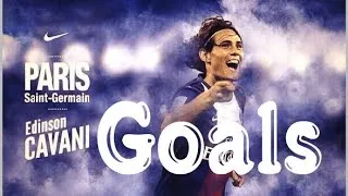 Edinson Cavani - 2013-14 Goals