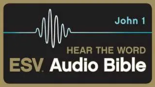 ESV Audio Bible, Gospel of John, Chapter 1