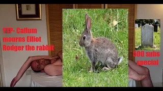 [YTP] Callum's Corner mourns Elliot Rodger The Rabbit (500 sub special!)