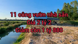 nhà vườn nghĩ dưỡng khi về già nuôi cá và trồng thêm rau