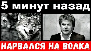 5 минут назад / "Лёшка , что ты наделал- рыдает жена Глызина , лидер веселых ребят нарвался на волка