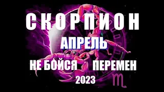 СКОРПИОН 🦂. АПРЕЛЬ 2023 год. Таро прогноз, гороскоп на месяц.