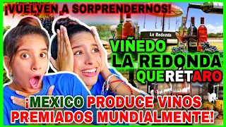 VIÑEDO🍷 La Redonda QUERETARO🇲🇽 2023 reaction ¡No CONOCÍAMOS sobre este TALENTO MEXICANO😱! #mexico