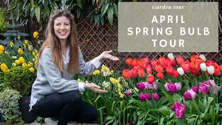 What's blooming in April 🌷🥰 | April GARDEN TOUR (so many Tulips, & Daffodils!)