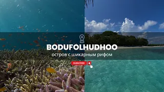 Бодуфолуду Мальдивы | обзор местного острова с шикарным домашним рифом Bodufolhudhoo