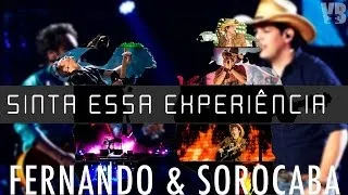 Fernando e Sorocaba - Não Vai Dar Nem Tempo (CD Sinta Essa Experiência - Ao Vivo)