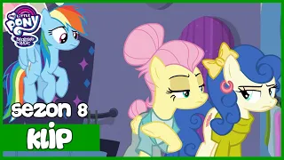 Nadmierne osobowości Fluttershy | My Little Pony | Sezon 8 | Odcinek 4 | Fluttershy wchodzi w Role