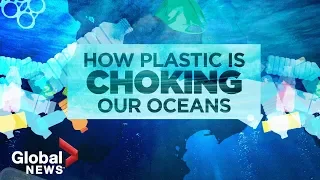Plastic pollution crisis: How waste ends up in our oceans