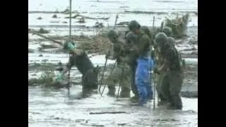 Юг Японии восстанавливается после наводнения