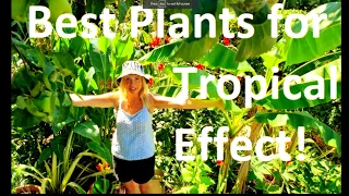 Best Plants for a Cold Hardy, Tropical Effect Garden