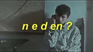 neden timothée chalamet kuşağımızın en iyi aktörü? (Türkçe Çeviri)