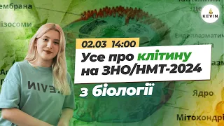 Усе про клітину на ЗНО/НМТ-2024 I Школа KEVIN