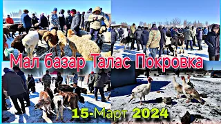 Мал базар Талас Покровка 15-Март 2024