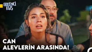 Erkenci Kuş Yeniden 2. Sezon Part #4 ❤