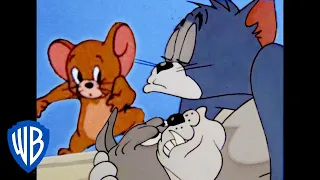 Tom & Jerry in italiano | Che nottata! | WB Kids