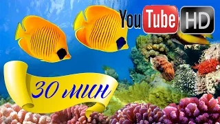 HD ♥ Инструментальная музыка ♥ Музыка для релаксации ♥ Альфа волны Музыка для обучения