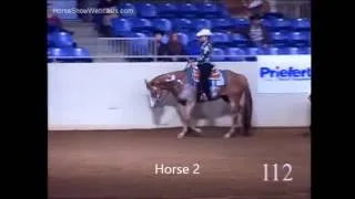 Western Pleasure Horse Judging Practice