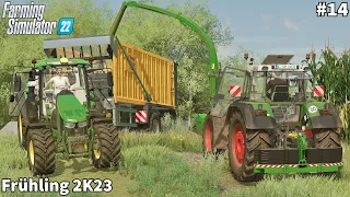 New Farm, Feeding Animals & Starting Silage Harvest│Frühling 2K23│FS 22│Timelapse#14