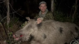 This Monster Hog was terrorizing a neighborhood!