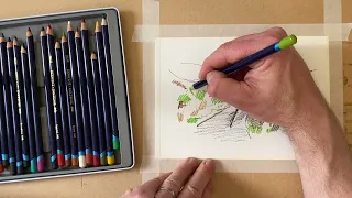 Using Watercolour Pencils - Derwent Inktense