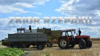 🇵🇱Zbiór rzepaku 2022 ㋡ AgroTeamGajMały★ Fortschritt E 516B★ZETOR★ URSUS★